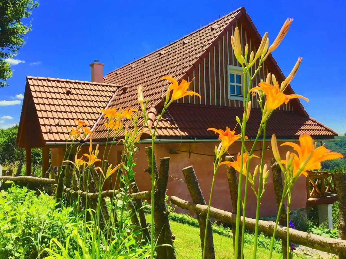 Kopanicky Dvor Guest House Hodrusa Luaran gambar